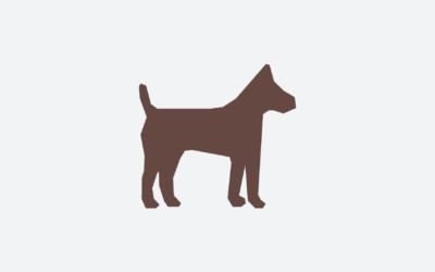 Pets no Boulevard Laçador